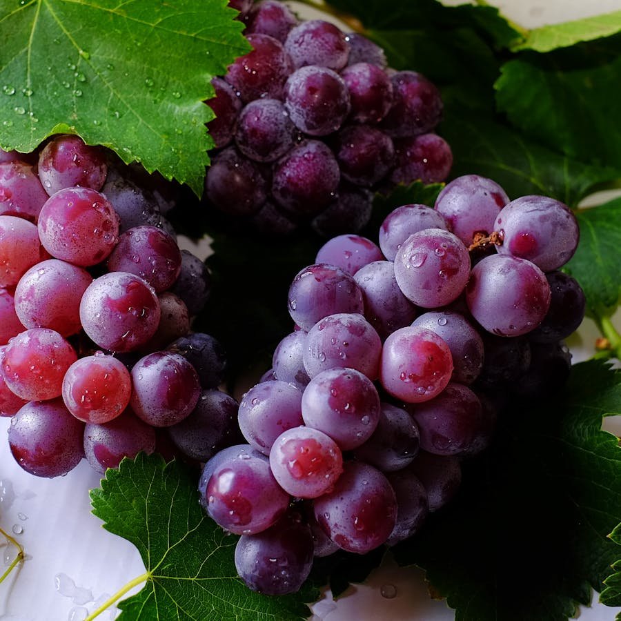 Premium Red Globe Grapes